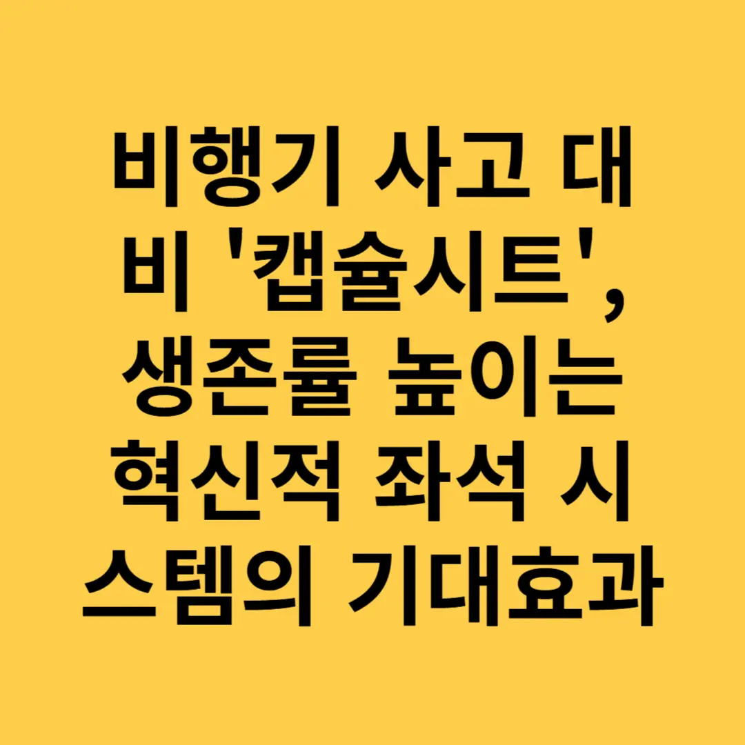 비행기 사고 대비 '캡슐시트', 생존률 높이는 혁신적 좌석 시스템의 기대효과