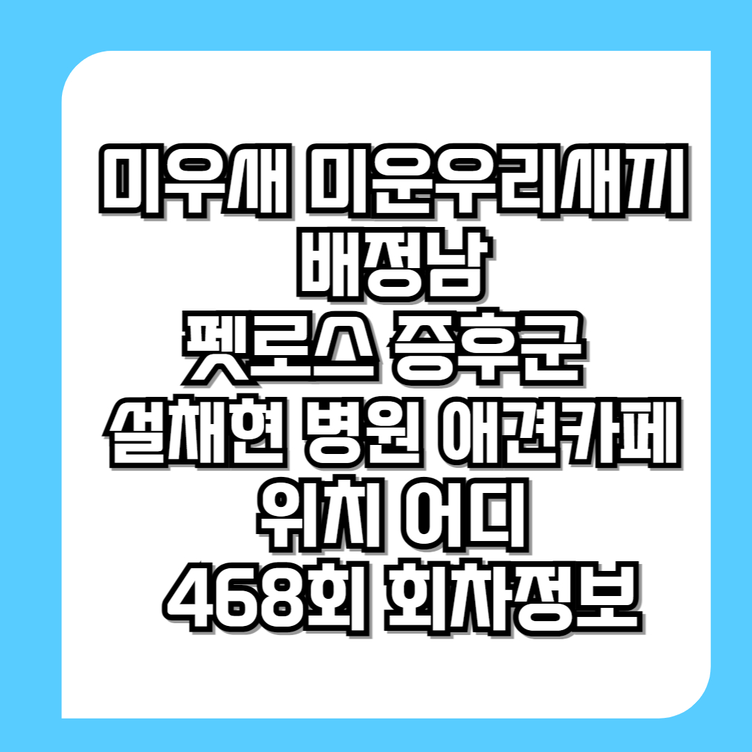 미우새-미운우리새끼-배정남-펫로스-증후군-설채현-병원-애견카페-위치-어디-468회-회차정보