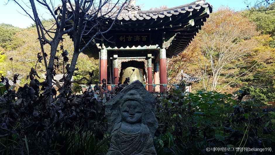 보성 가볼만한곳 베스트10