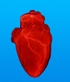 협심증 초기증상 치료방법 원인