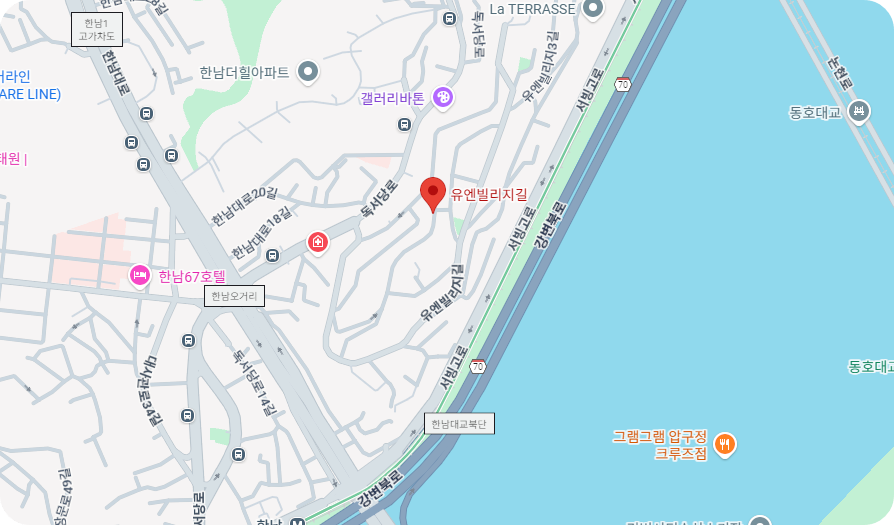 장원영 137억 한남동 빌라 현금 매입 루시드하우스 어디?