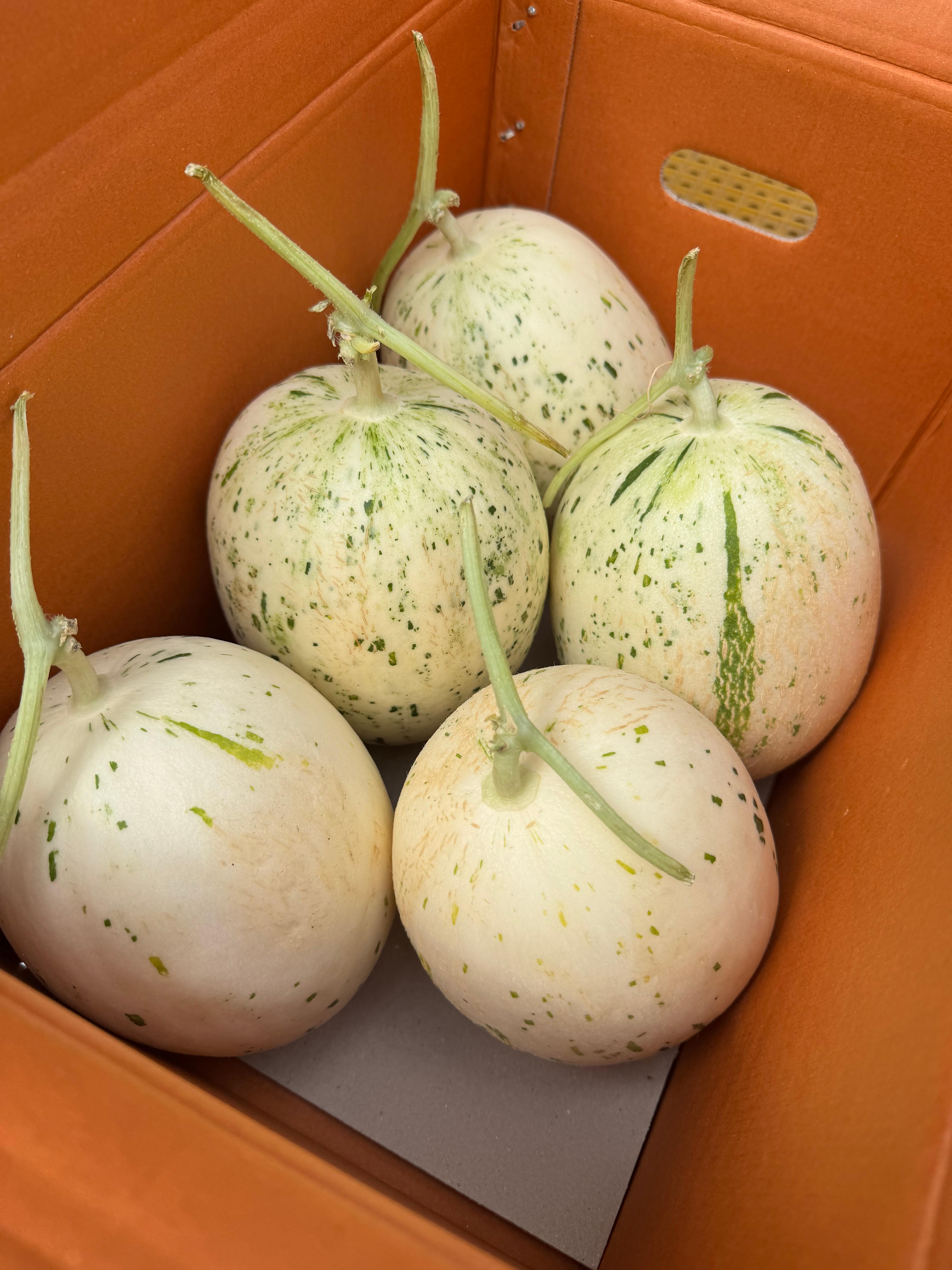 가야백자멜론 건강