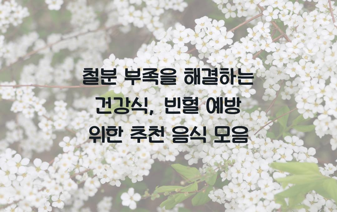 철분 부족을 해결하는 건강식, 빈혈 예방을 위한 추천 음식