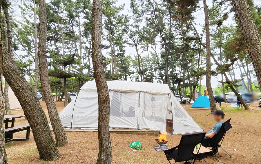 숯을 안가져와 숯을 만들겠다고 나선 루나군