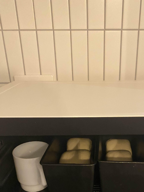 발뮤다 더레인지