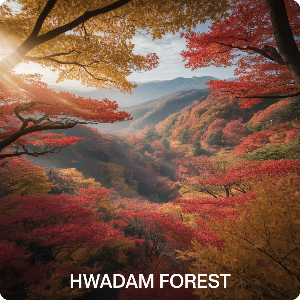 화담숲·모노레일 예약 취소방법·취소표 잡는 방법·입장료 이미지