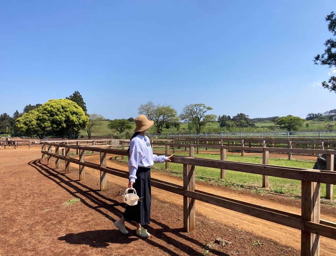 제주 목장 카페 밭디
