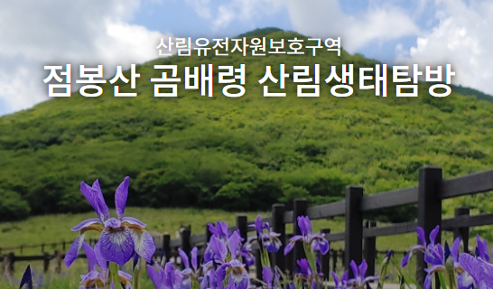 점봉산 곰배령 탐방예약