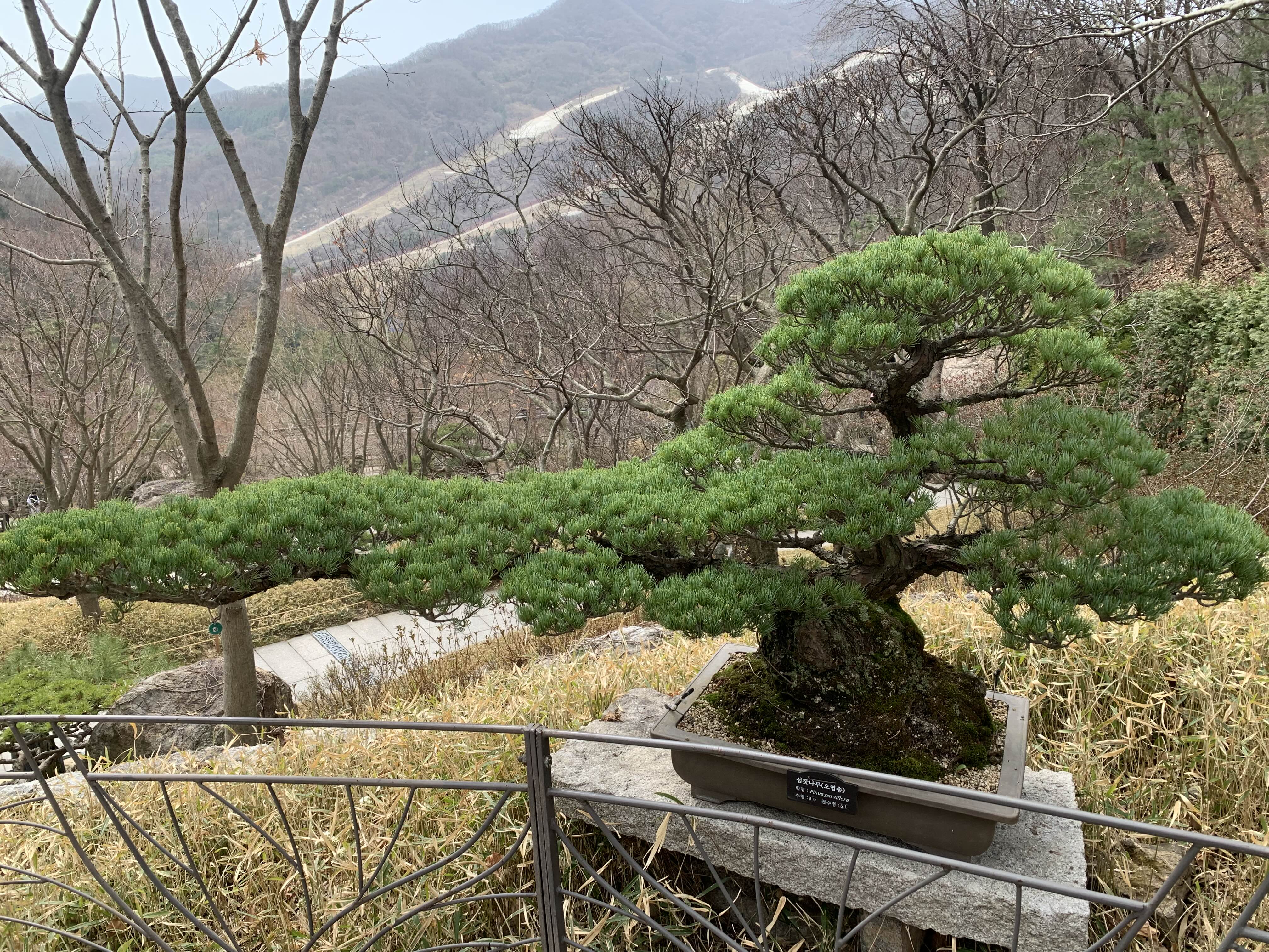 화담숲 예매