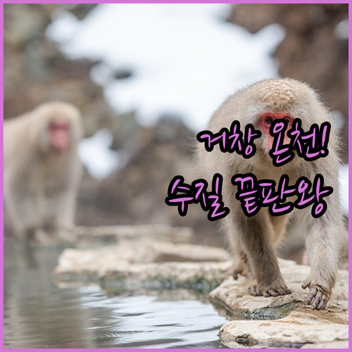거창 가족 여행 숙소 추천 시설 깨끗..