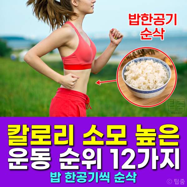 밥한공기 칼로리 소모 많은 운동,칼로리소모 높은 운동 순위