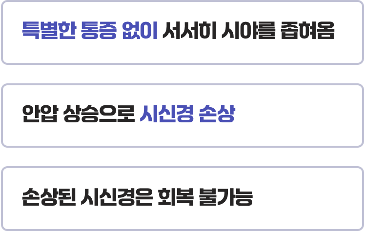 소리 없는 시야 도둑&amp;#44; 녹내장