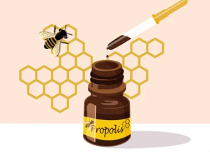 프로폴리스 추천