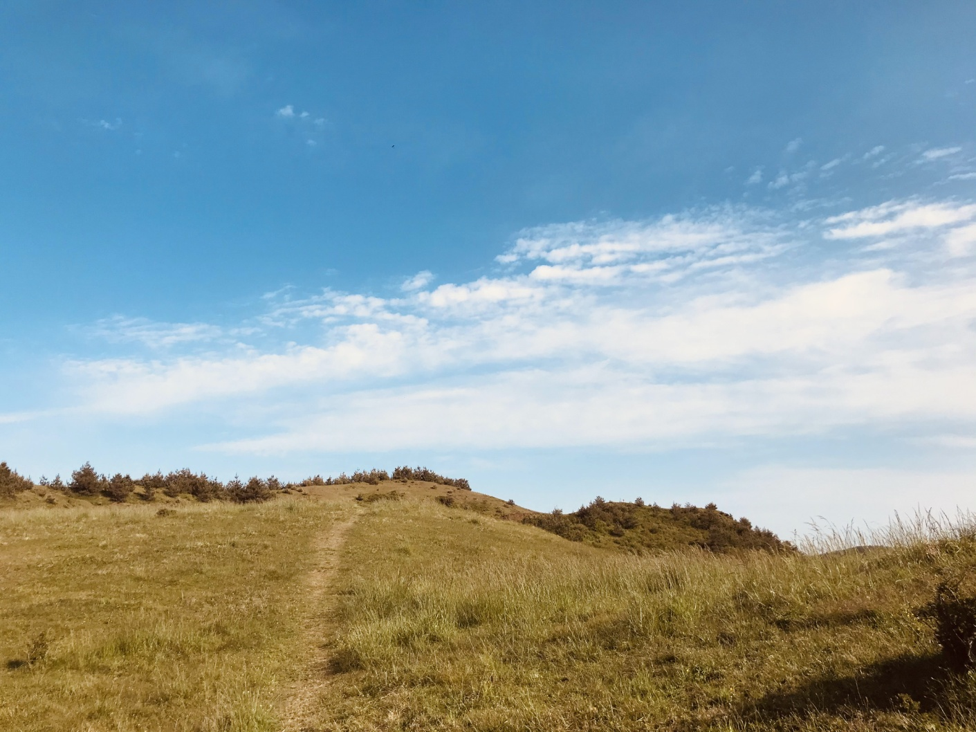 백약이오름 분화구 둘레길