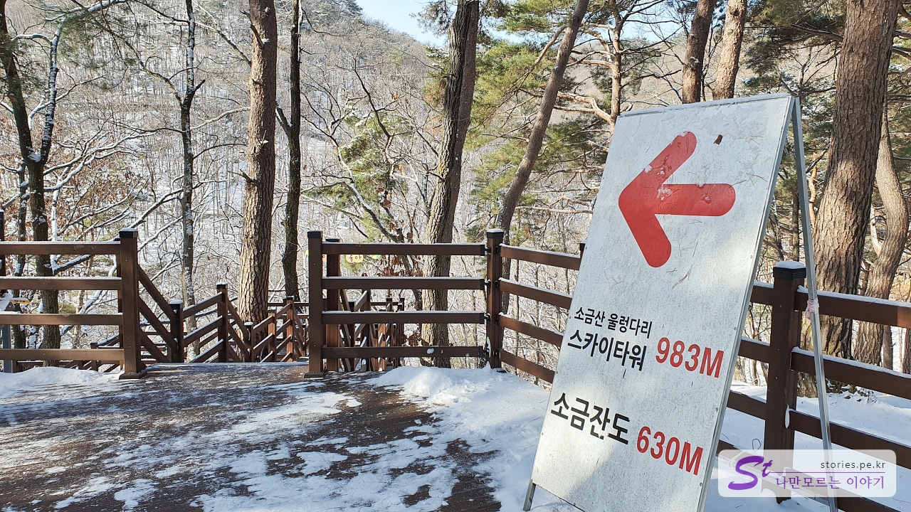 데크산책로로 출발