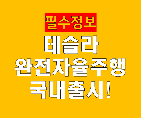 테슬라 FSD 한국 출시 가격 모델 실제 주행 후기