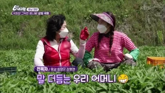 6시내고향 하동 블루베리 농장 체험주문 방법 안내_15