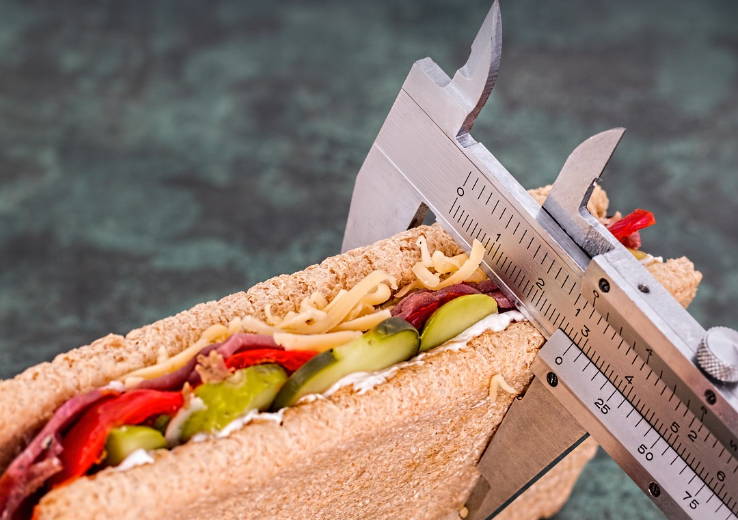 다이어트 식단 제대로 알기