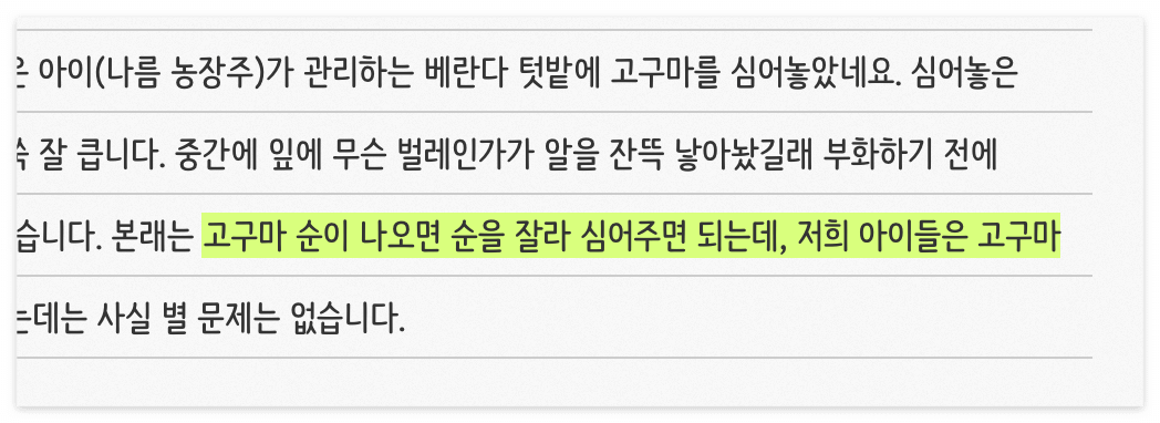 형광펜 밑줄의 예