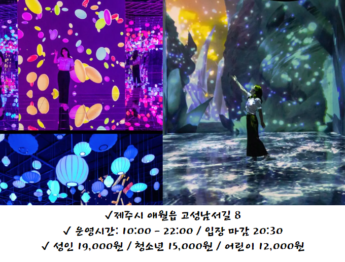 제주 아이바가든 미디어아트 박물관 - 야간 제주 가볼만한 곳