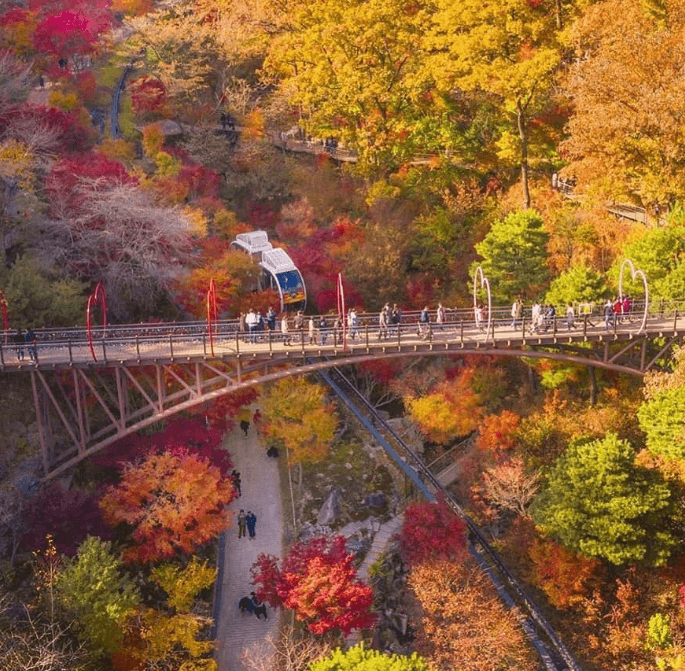 화담숲 단풍 시기