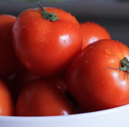 토마토 효능 부작용 고르는법 칼로리