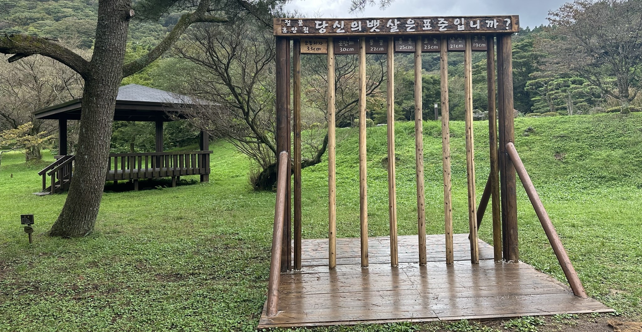 절물 휴양림 산책로