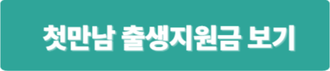 첫만남이용권글