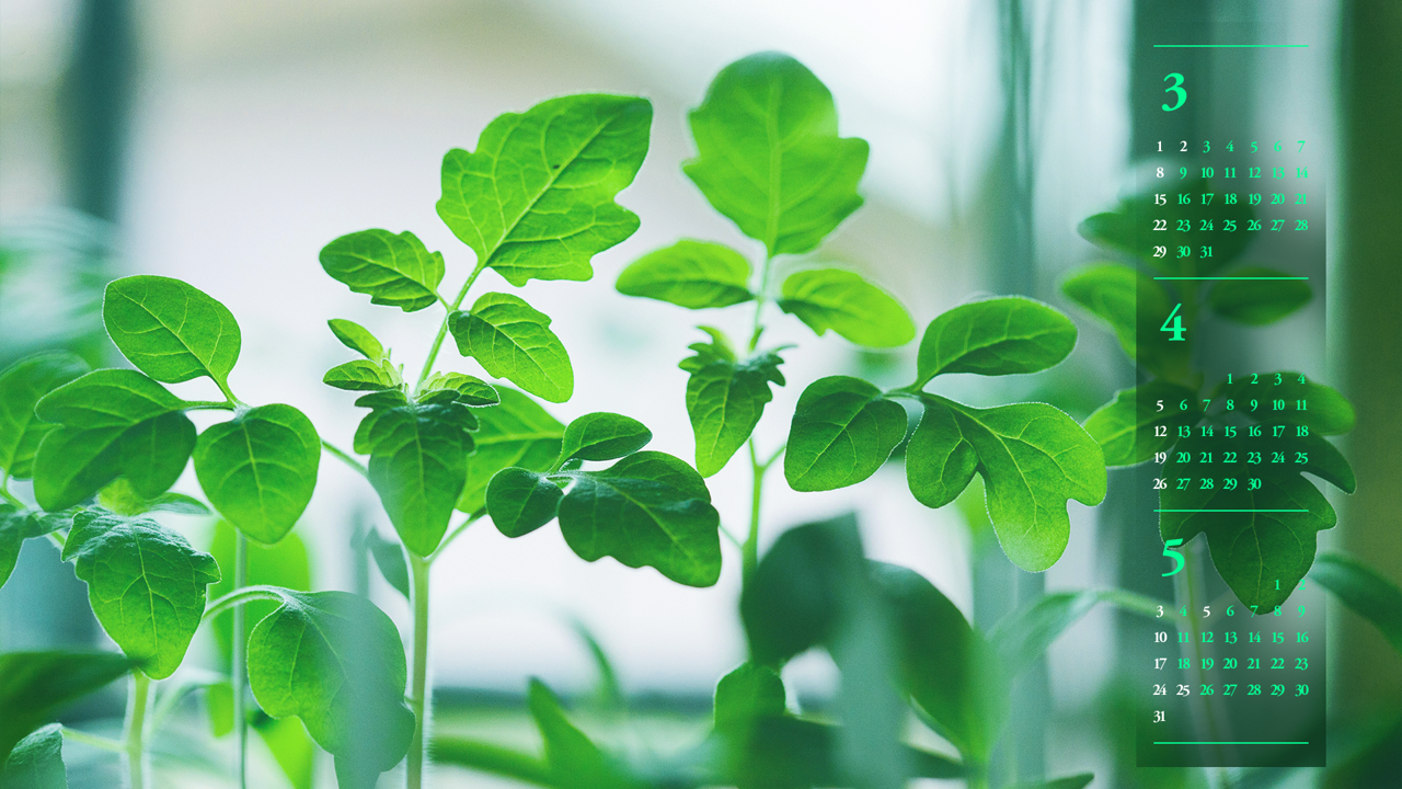 08 초록 풀잎 B - 2026년4월 달력배경화면
