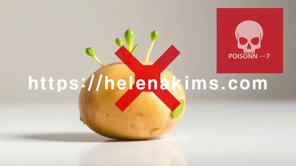 깔끔한 배경 위에 싹이 돋아나고 일부가 선명한 녹색으로 변한 감자의 이미지.