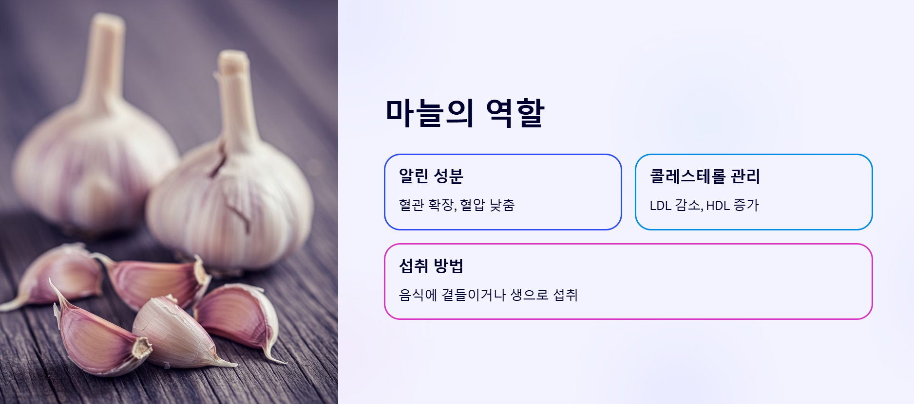 마늘의 역할