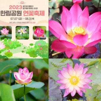 2023년 8월 축제 안내및 기간&amp;#44; 정보