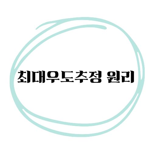 최대우도추정(MLE)의 원리