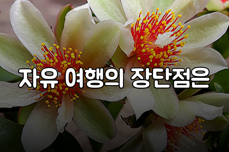 자유 여행의 장단점은