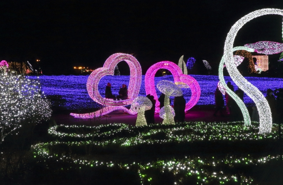 아침고요수목원-겨울관람-할인-예약으로-즐기는-모습들-사진