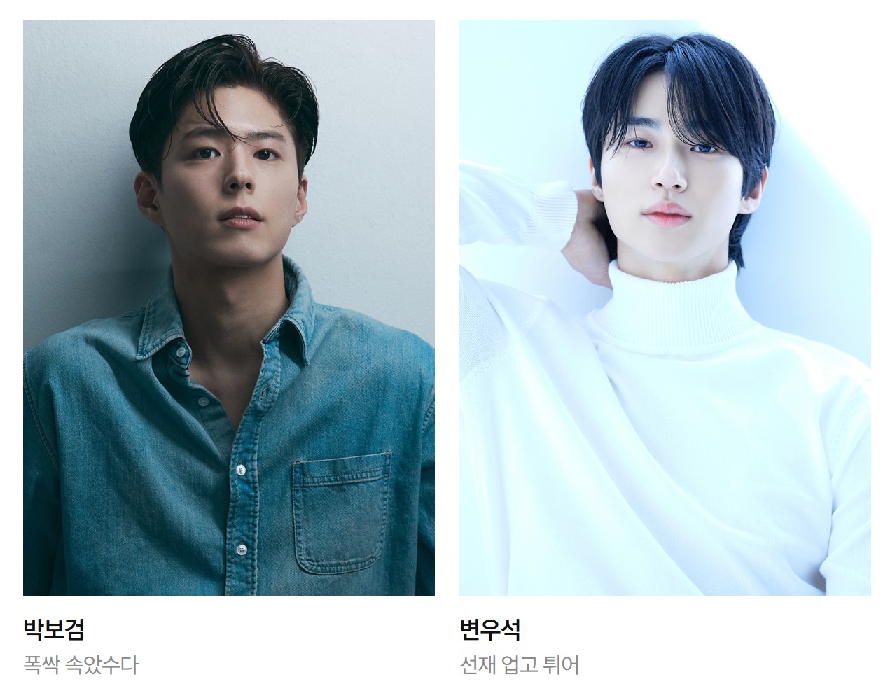 백상예술대상 방송 부문 후보