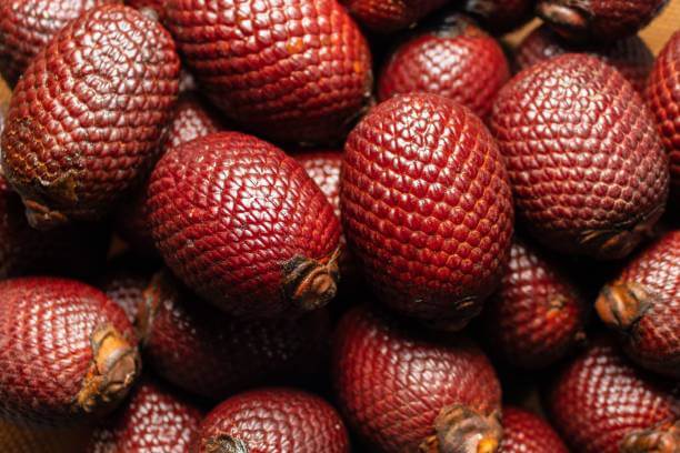 아구아헤 효능 및 부작용. 아마존 우림 숲 속에서 자라는 아구아헤는 비타민과 미네랄이 풍부하게 들어있어 건강에 매우 좋은 열매입니다. 이번에는 아구아헤의 다양한 효능과 부작용&amp;#44; 그리고 사용 방법까지 자세히 알아보겠습니다.