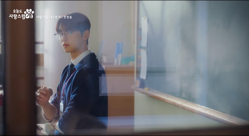 오늘도 사랑스럽개 정리