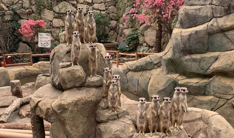 대구 네이처파크 실내동물원