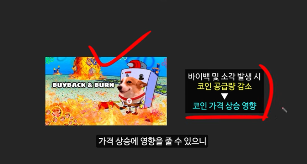 베이비 도지 코인의 급등 이유와 일론 머스크의 영향 ❘ 밈 코인 시장 전망