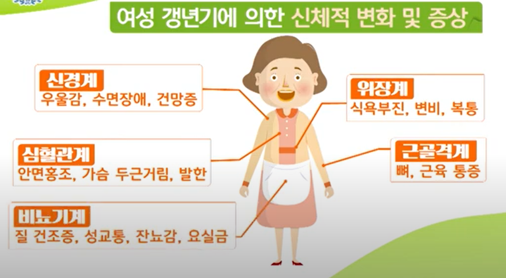 갱년기 신체 증상