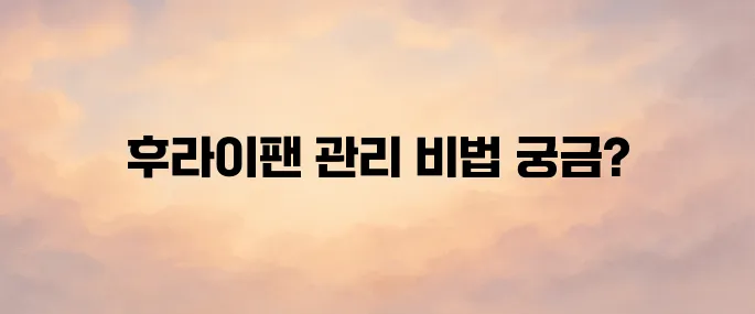 후라이팬 순위 추천 및 관리 방법