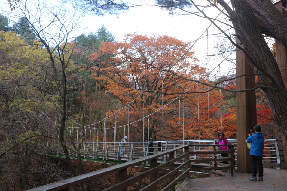 치악산-풍경