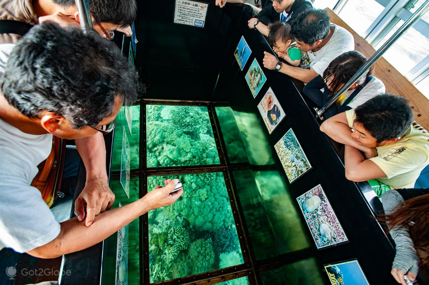 Ishigaki Glass Bottom Boat Experience
