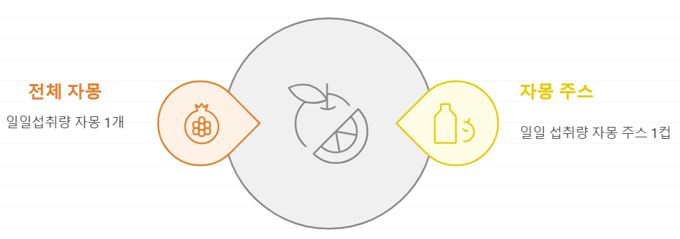 권장 자몽 섭취량