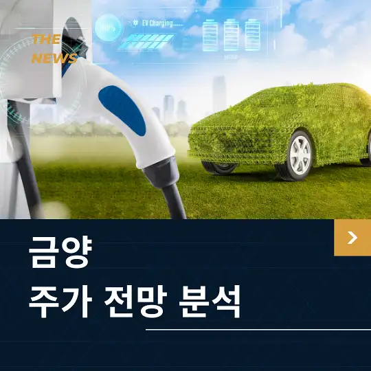 금양 주가 전망 및 분석