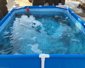 양평 산수유마을 빙어축제_28