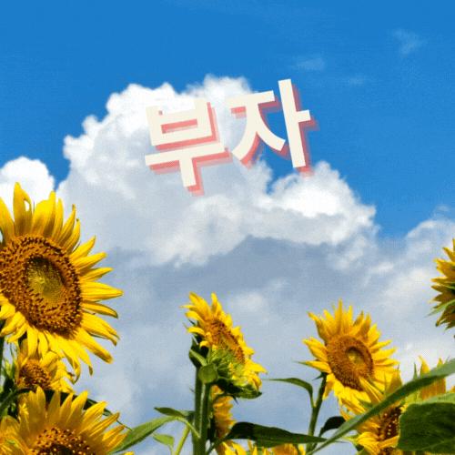 해바라기 그림 돈들어오는 그림 다운받기