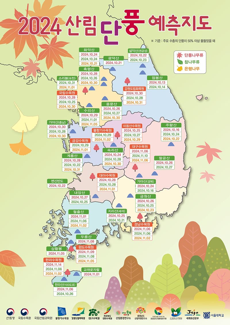 2024 산림단풍 예측지도 ❘ 가을빛 여행 완벽 가이드