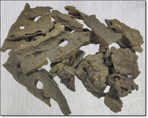 브라질 그린프로폴리스